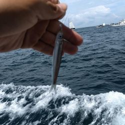 落とし込み(アンダーベイト)