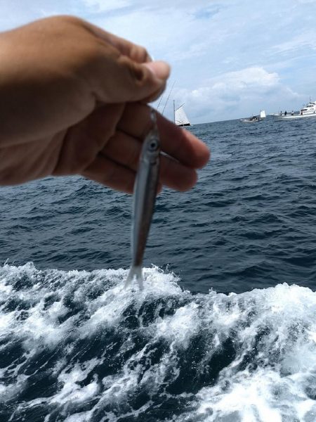 落とし込み(アンダーベイト)