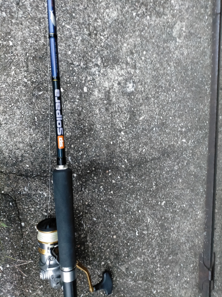 ナブラ撃ちでサゴシ2匹!!