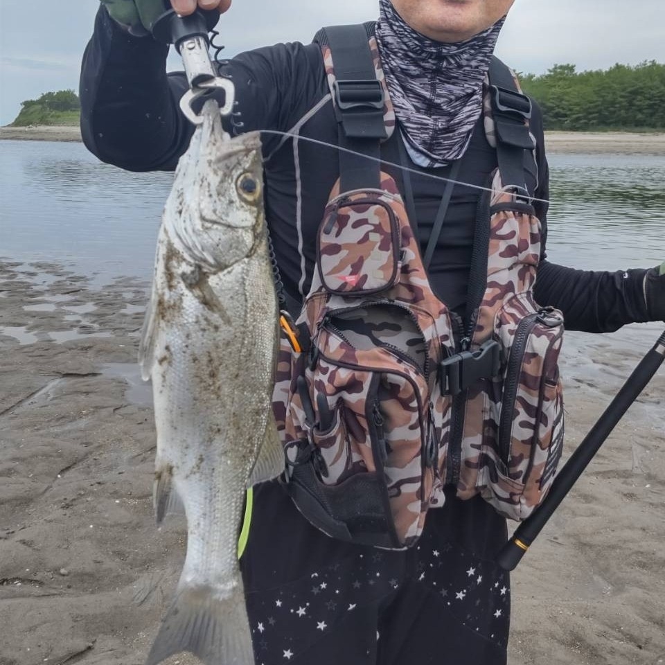 ファミリーフィッシング!