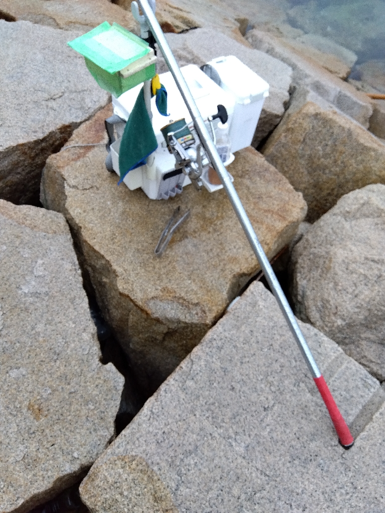 室津のキス釣り