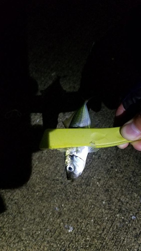 ムツムツムツ😊