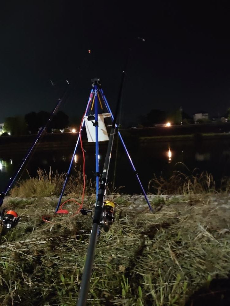 初めてのうなぎ釣り