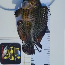 暑すぎて釣れる気がしない☀&…