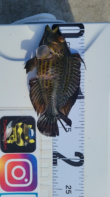 暑すぎて釣れる気がしない☀&…