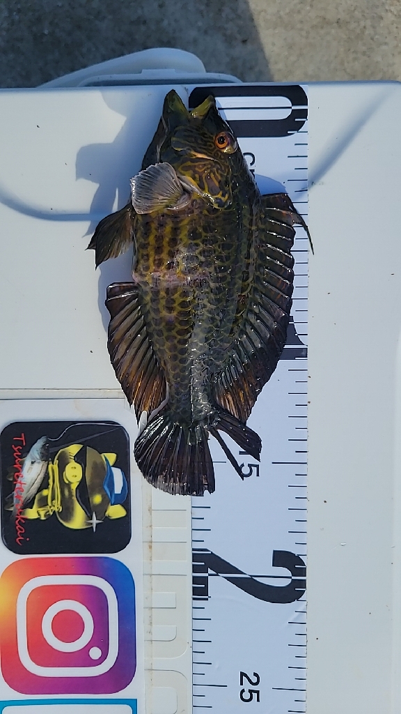 暑すぎて釣れる気がしない☀️😵💦