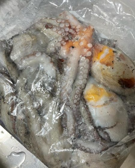 タコ釣りに淡路まで