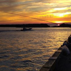 尺アジ釣れず😅