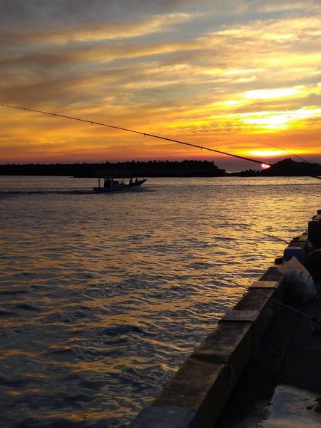 尺アジ釣れず😅