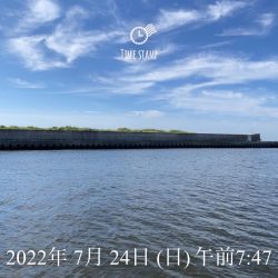 尼P オーランド大会