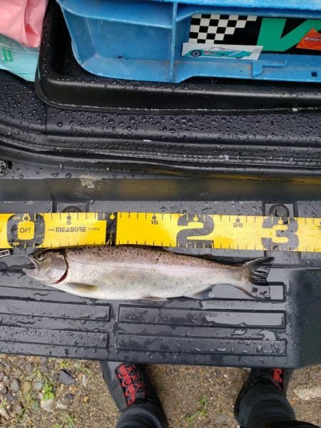 1センチ足りませんでした