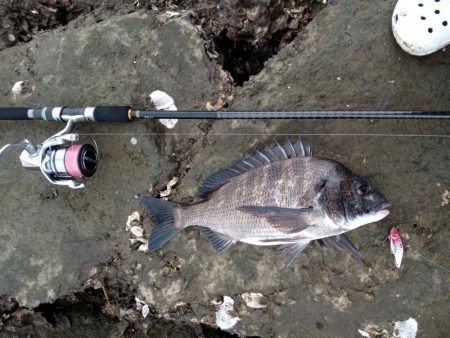 7月ようやく釣れました