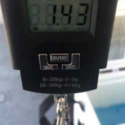 待望のキロアップ!