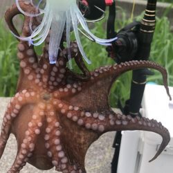 曇り空のシーサイド