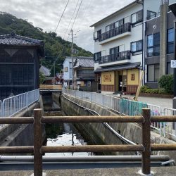 兵庫県の離島のドブ川ででまさかの60オーバーのウナギがとれた！