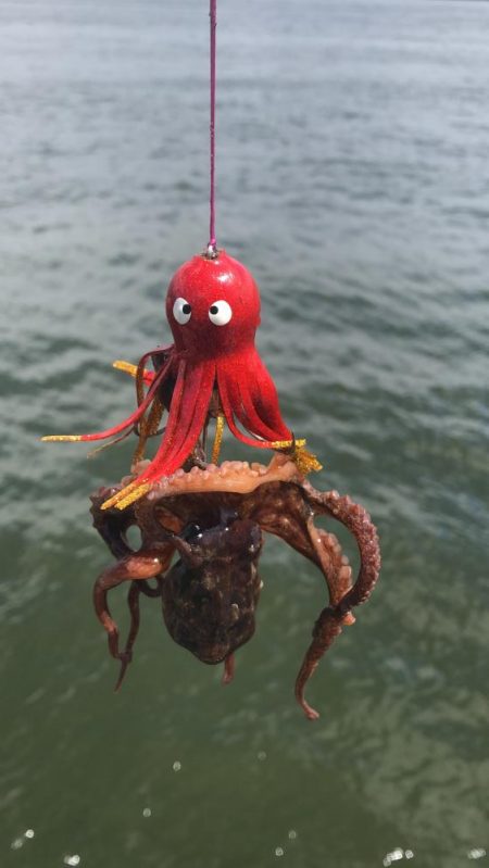 長潮のシーサイド