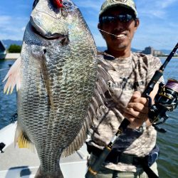 神戸港ディアコウゲーム