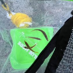 ひでりアジ渋い！