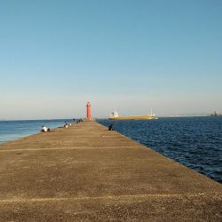 僅かな時合いを捉える事が出来ました