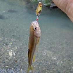 チャビングで腹パン含め、つ抜け！