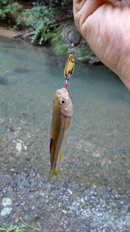 チャビングで腹パン含め、つ抜け！