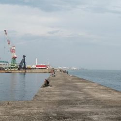 思わぬ大物が釣れました