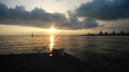 キス仕掛でタコが釣れました