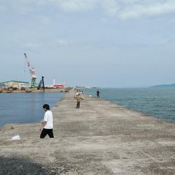 活性が上がらない播磨新島のキス