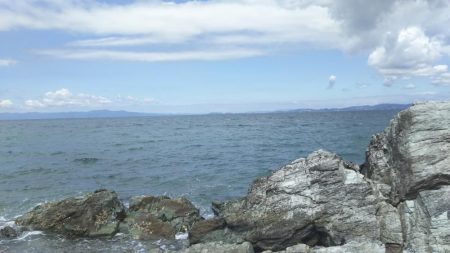 シオ時々ツバスおまけでソゲ