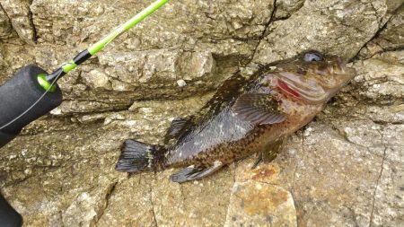 穴釣りでソイの自己記録！！