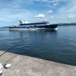 懲りずに水軒一文字へ。