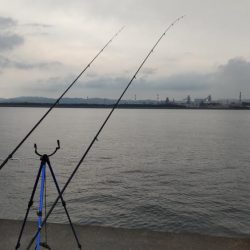 尺のオンパレード