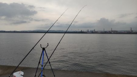 尺のオンパレード