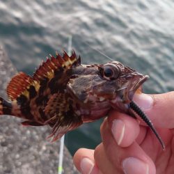 鱒レンジャー入魂