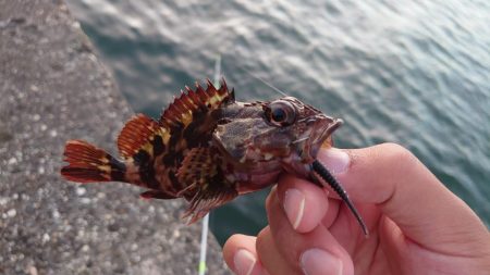 鱒レンジャー入魂