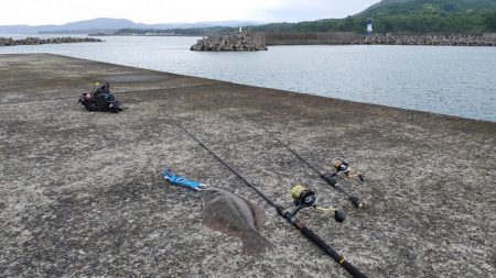 夕まずめのヒラメと夜釣りのシーバス