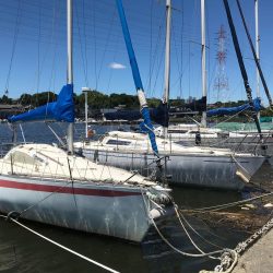 ｾｲｺﾞ釣り～夏の陣～