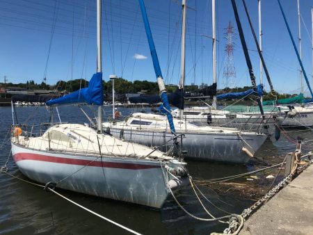 ｾｲｺﾞ釣り～夏の陣～