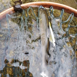 台風に期待するも全く降ってなかった