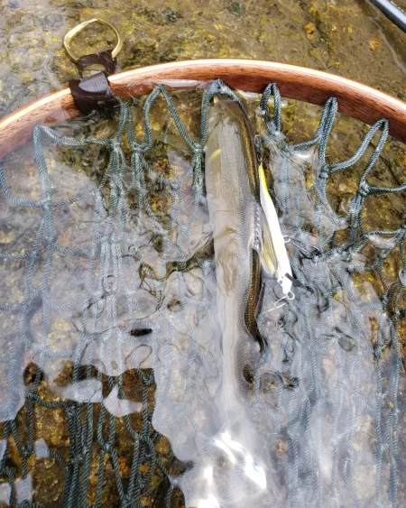 台風に期待するも全く降ってなかった
