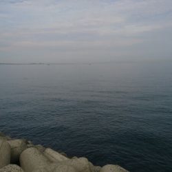 ハマチ回遊あり!