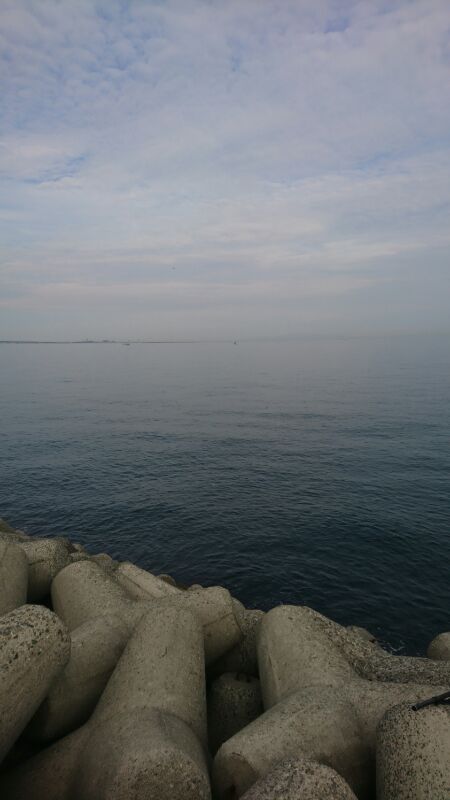 ハマチ回遊あり!