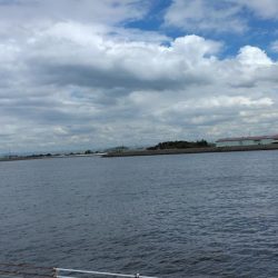 タコジグ　ツ抜け