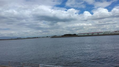 タコジグ　ツ抜け