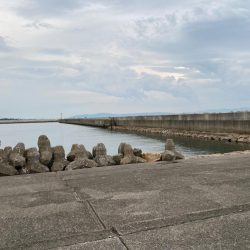 サビキ釣り好調!今年初のイワシも登場!