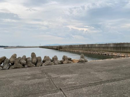 サビキ釣り好調!今年初のイワシも登場!