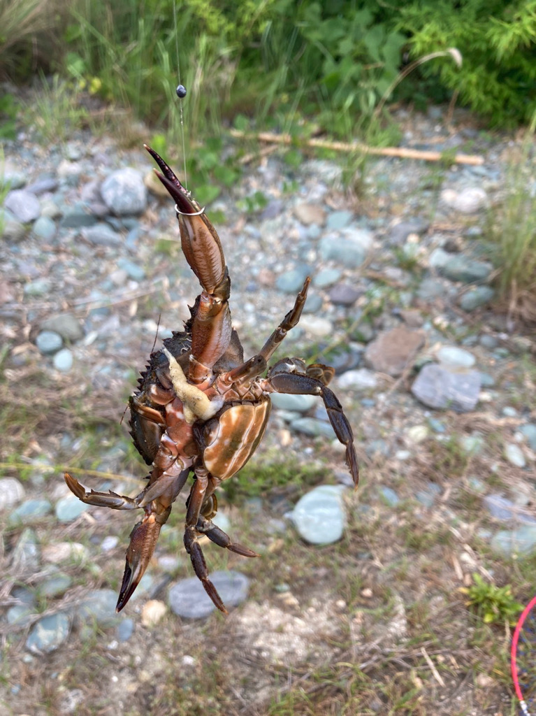 久し振りのフカセ