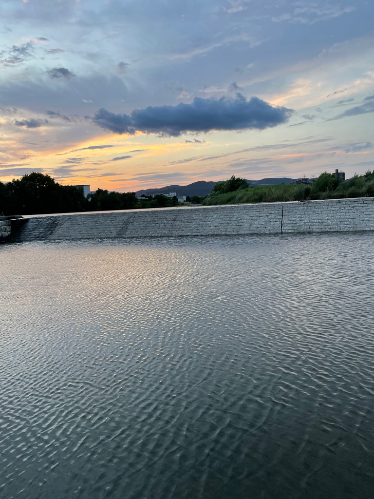 夕方にサイトナマズ