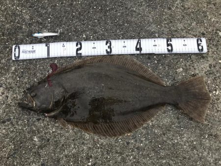 とうとうヒラメが❗þ…