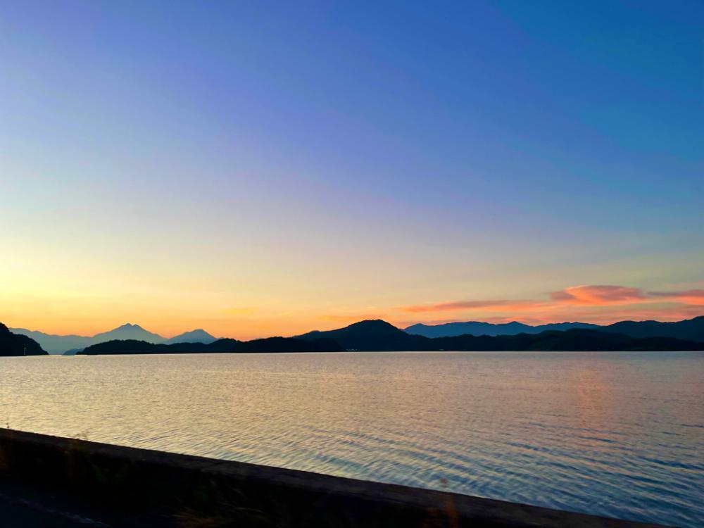 今年初アオリ！